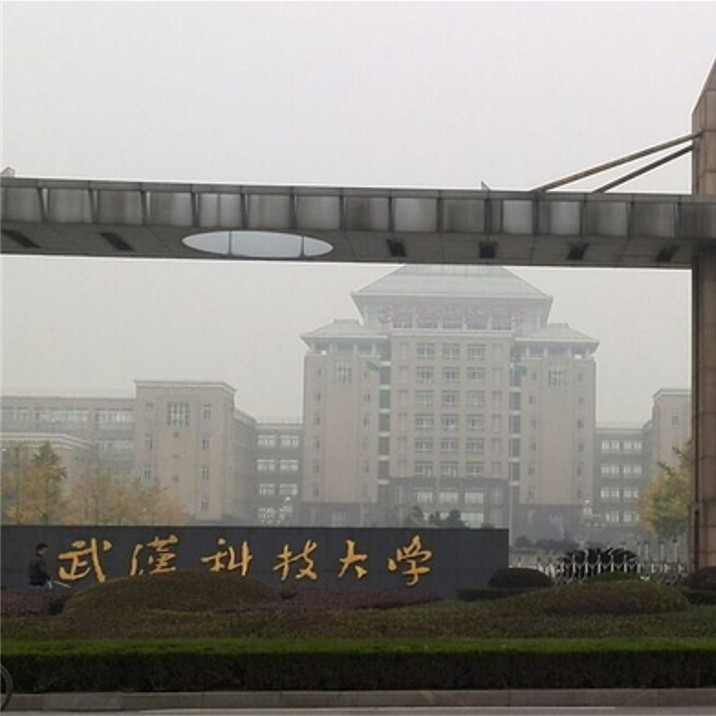 武汉科技大学安防监控系统