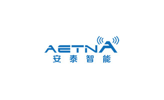 湖北东盛源汽车贸易集团有限公司下属分公司远程监控项目